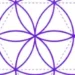 Shiatsu Krefeld und die Wandlungs-Phasen: Ein grafischer Ausschnitt mit angeschnittenem Kreis und geometrischer Form