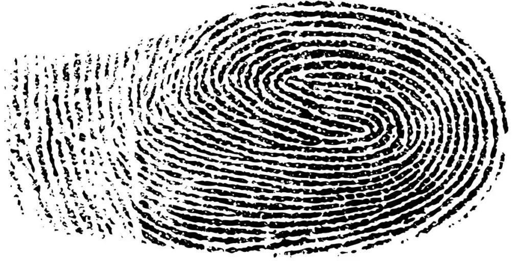 Fingerabdruck eines Daumens in Schwarz-Wei&szlig;