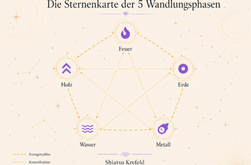 Die 5 Elemente im Shiatsu: Bedeutung der Wandlungsphasen mit Kontroll- und Erzeugerzyklus